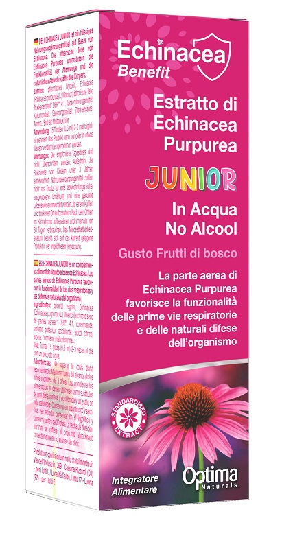 Echinacea Estr No Alcool 50ml