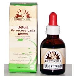 Fitoblasto Betulla Verr Lin 50