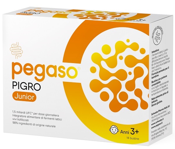 Pegaso Pigro Junior 14bust