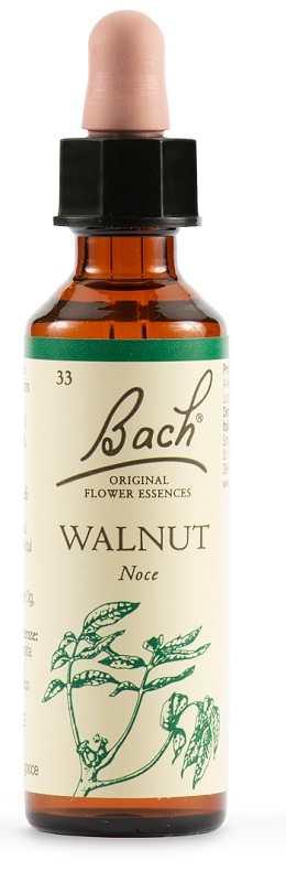 Walnut Bach Orig 20ml