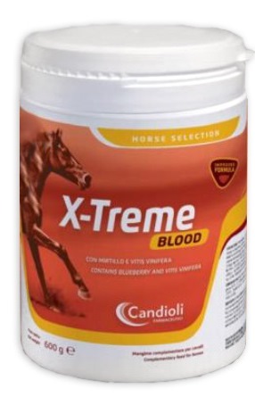 X-treme Blood 600g
